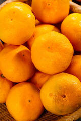 Fresh Yichang Seedless Honey Tangerines in Basket - Premium Autumn Citrus Fruit Collection