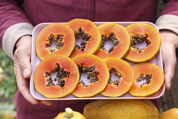 Fresh Red Papaya Slices with Seeds Held in Caring Hands - Tropical Fruit Display