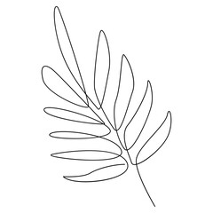 Minimalist Line Art of Palm Leaf