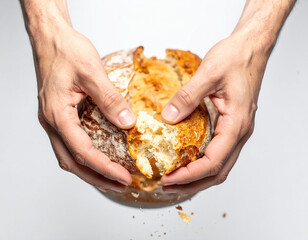 Hands breaking apart a crusty round loaf of bread on a white background, with crumbs scattering
