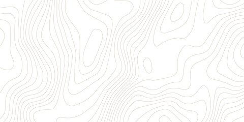 Topography background. Vector banner. Topography map background. Vector geographic contour map. Background of the topographic map. Topographic map lines, contour background.