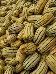 Fototapeta premium close up of pumpkin seeds