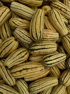 close up of whole striped winter squash vegetables full frame 