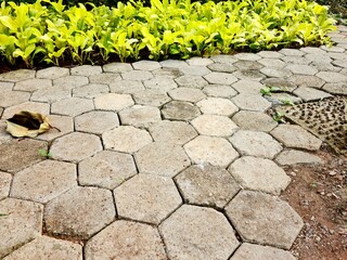Hexagon paving stone installed for pedestrian walkway around park