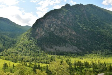 A high mountain range with a gentle slope covered with coniferous forest descending into a...