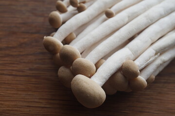 Fresh Brown Shimeji Mushroom for Cooking and Culinary Ingredient