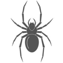 A grayscale vector illustration of a spider viewed from above. 
