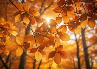 Warm sunlight filtering through brown tree leaves