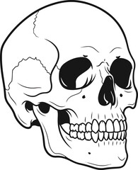 The foreground features a detailed pixel art rendering of a human skull, viewed from a three-quarter perspective, showcasing the anatomical features of the cranium, mandible, and teeth.