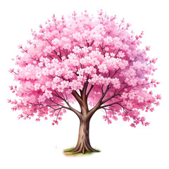 Blossoming Cherry Tree Isolated On White Background: An enchanting cherry tree in full bloom, its branches adorned with delicate pink blossoms, a symbol of spring and renewal.