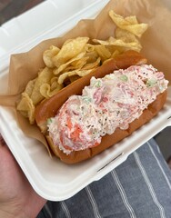 Fresh New England lobster roll on a toasted split-top bun - coastal lunch