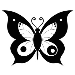 Obraz premium Yin-Yang Butterfly