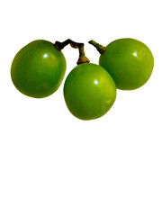 Three Ripe Green Seedless Grapes on Stems