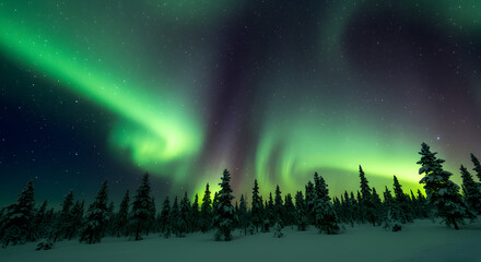 Mesmerizing Aurora Borealis Over Snowy Winter Forest. Vibrant Green and Purple Northern Lights Dance in Arctic Night Sky.