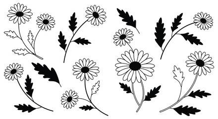Fototapeta premium simple black and white floral design with daisies leaves