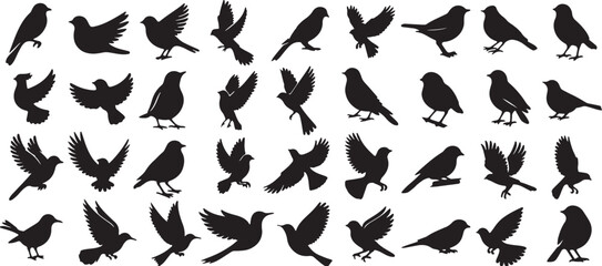 collection, postures., spread, silhouettes, wildlife, silhouette, dove, icon, category:, offer, solid, perched, sky, wings, design, flight, clear, dynamic, these, diverse, white, ornithology, birds, a