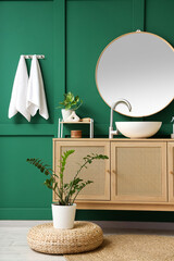 Modern sink, cabinet and houseplants near green wall in interior of bathroom