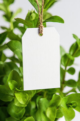 Kraft Paper Tag Hanging on Green Leaves