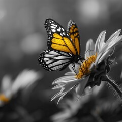 Obraz premium Butterfly robot on flower with cinematic film