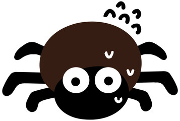 거미,Spider