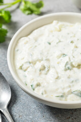 Healthy Homemade Indian Raita Sauce Dip