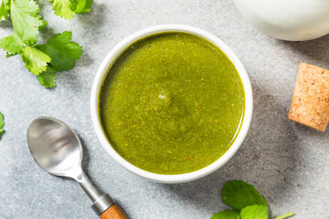 Organic Healthy Indian Mint Cilantro Chutney