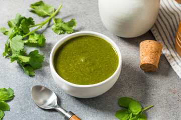 Organic Healthy Indian Mint Cilantro Chutney