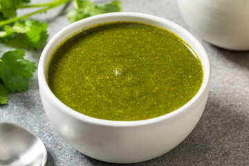 Organic Healthy Indian Mint Cilantro Chutney