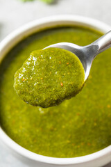 Organic Healthy Indian Mint Cilantro Chutney