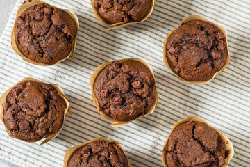 Sweet Homemade Double Chocolate Chip Muffin