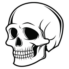 Fototapeta premium A silhouette of a skull on a white background