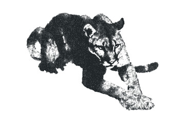 Puma Crouching on Transparent. Vector hand drawn illustration