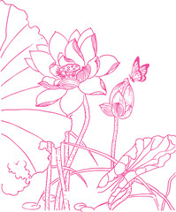 lotus flower drawing sketch
