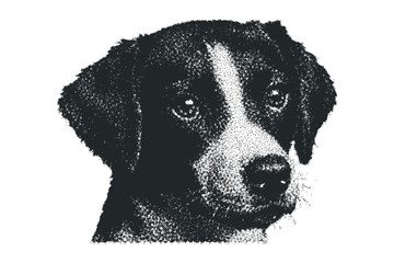 Stippled portrait of a dog's head on a transparent background. Vector hand drawn illustration