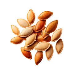 handful of roasted pumpkin seeds with smooth, glossy shells