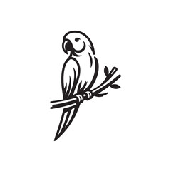 parrot on a branch