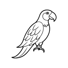parrot line art, black outline, coloring book page vector illustration