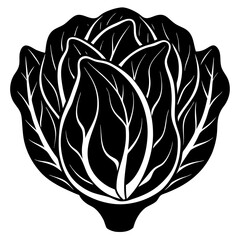 Stylized black and white icon of a fresh cabbage head with visible leaf veins