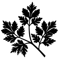 Black silhouette of a parsley sprig with detailed leaves against a white background