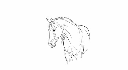 Elegant Horse Portrait Line Drawing.