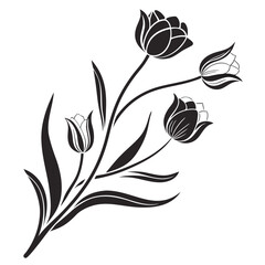 Fototapeta premium Elegant black and white tulip flower silhouette design