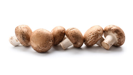 Composition with fresh champignon mushrooms isolated on white background, closeup