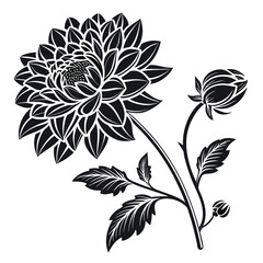 Black and white stylized dahlia flower with buds and leaves