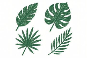 Botanical Collection: An illustrative ensemble of tropical leaves, captured from a high-angle perspective. Each leaf showcases unique textures and shapes, evoking a sense of natural beauty.