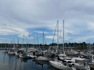 Naklejka premium yachts in marina