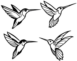 Obraz premium Four stylized hummingbird silhouettes in flight on white background