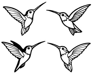 Set of four stylized hummingbird illustrations in flight