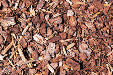 Close-up image showcases a rich and textured background of bark mulch