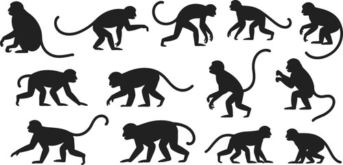 Monkey silhouettes in various poses, walking, sitting, crouching, isolated on white background, wild animal vector illustration, jungle wildlife concept