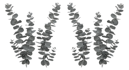 Elegant botanical composition featuring delicate eucalyptus branches with multiple rounded leaves, arranged gracefully for a serene, natural, and contemporary decorative design element